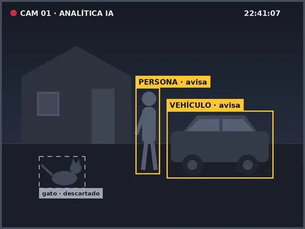 Vista de cámara con analítica de IA: marca a la persona y al vehículo y descarta al gato